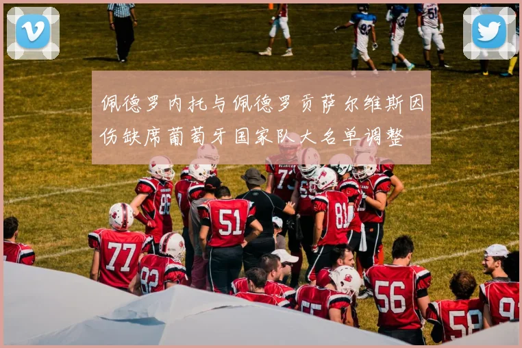佩德罗内托与佩德罗贡萨尔维斯因伤缺席葡萄牙国家队大名单调整