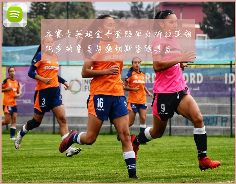 本赛季英超金手套赔率分析拉亚领跑多纳鲁马与桑切斯紧随其后